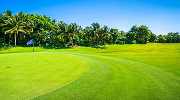 富力红树湾高尔夫球会