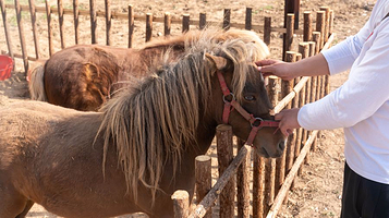 河北建投现代农业观光园