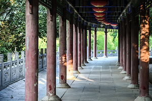 楼观台国家森林公园