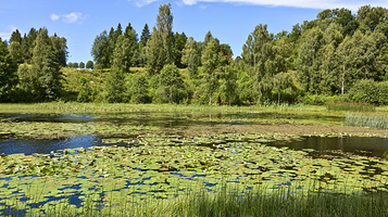 郑州国家森林公园