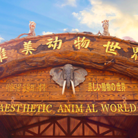 唯美动物世界
