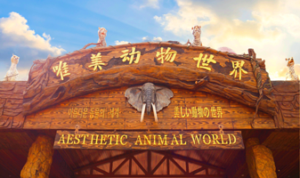 唯美动物世界