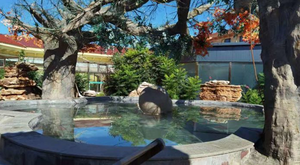 阳高阳光99温泉养生度假区