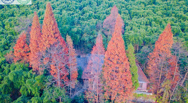 莫干山风景名胜区