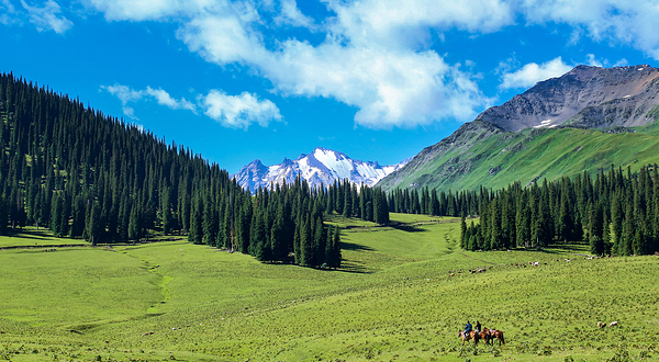 那拉提国家森林公园