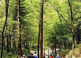 剑南春森林公园