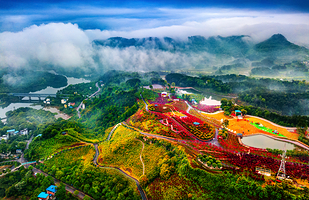 南湖多彩植物园