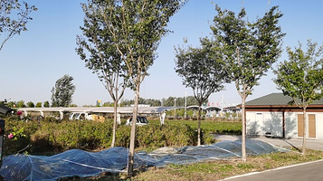 邹平供销蝶恋谷