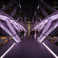 王国中心天空桥