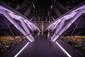 王国中心天空桥