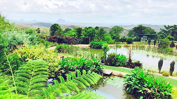Maleny Botanic Gardens