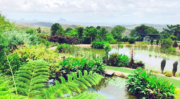 Maleny Botanic Gardens