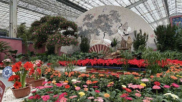 青州花博会