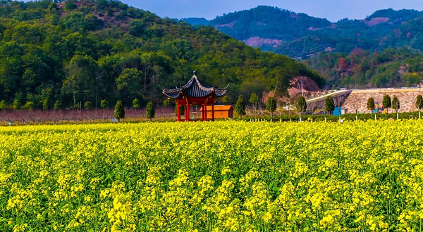 东阳花园-已下线