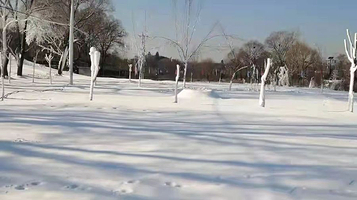 天梯山冰雪乐园