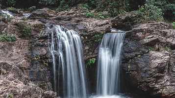 海南热带雨林国家公园