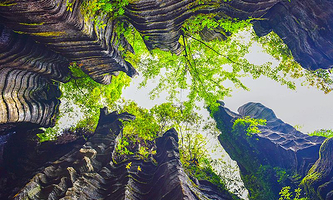 梭布垭风景区-九龙汇景点