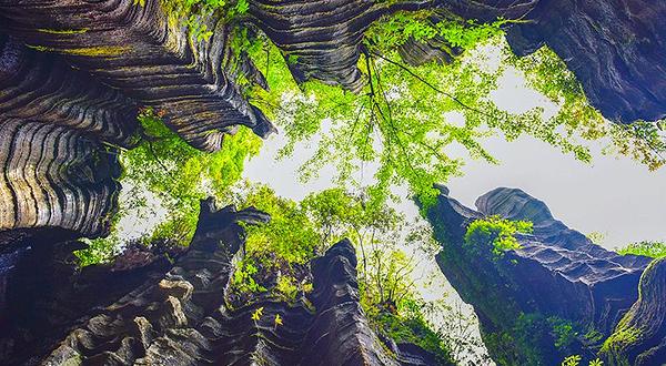 梭布垭风景区-九龙汇景点