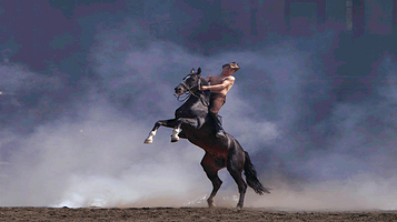 新疆古生态园汗血马基地