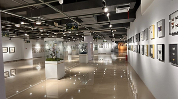 长沙活体昆虫博物馆