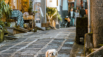 和顺古镇景区-和顺小巷