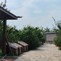 莱州宏顺梅园
