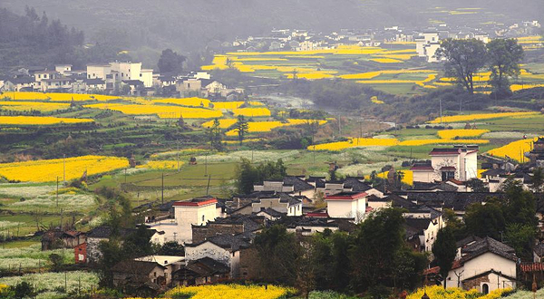 婺源严田