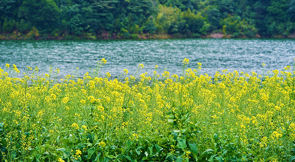 石门国家森林公园