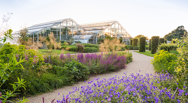 皇家园艺学会威斯利花园