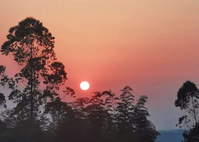 天府茶灵谷度假区