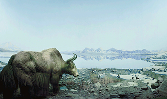 The Academy of Natural Sciences of Drexel University