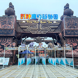 临泉魔幻动物园