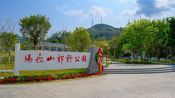 马峦山郊野公园