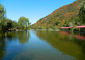 翠枫山自然风景区