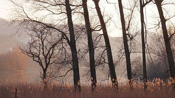 紫蓬山国家森林公园