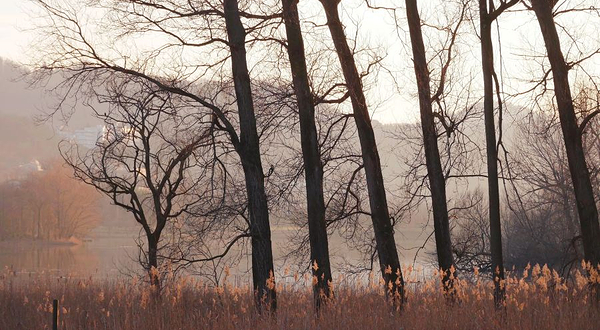 紫蓬山国家森林公园