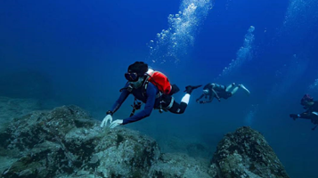 双帆石潜水旅游服务俱乐部