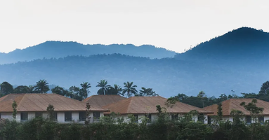 Monkeys Canopy Resort