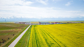 昭苏天马文化园