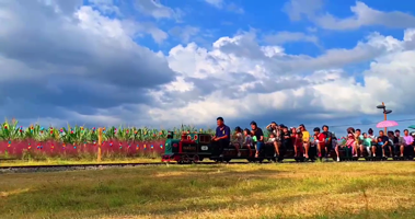 白溪江共享田园