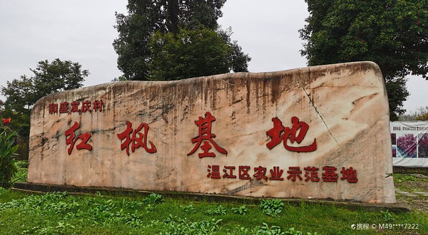 红枫基地