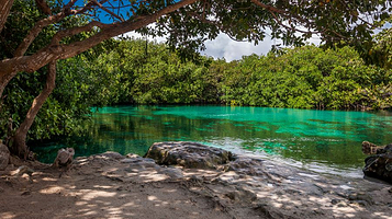 Casa Cenote灰岩坑