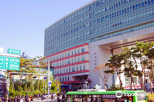 弘益大学(首尔校区)