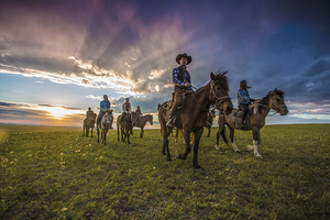 老高马场(额尔古纳市黑山头店)