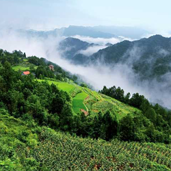 万源市黑宝山林场