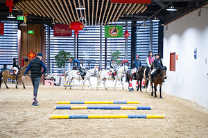 世骑家马术中心(苏州中心商场校区)