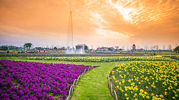 花博汇(知音花月夜)