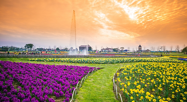 花博汇(知音花月夜)