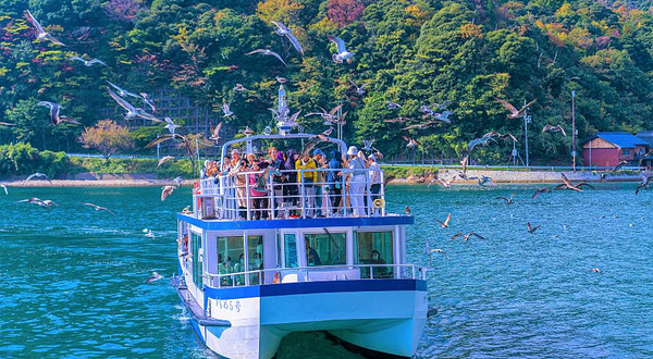 伊根湾观光船游览