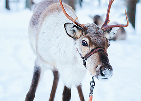 蒙古之源蒙兀室韦文化旅游景区